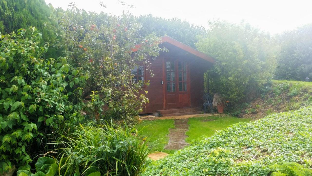 Bridge Farm Guesthouse Rooms Dundry Eksteriør billede